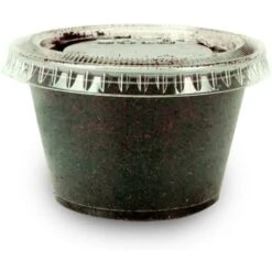 Josh's Frogs Juvenile Leopard Gecko Feeder Bundle -Pet Supplies Store 748998 PT5. AC SS1800 V1672163412