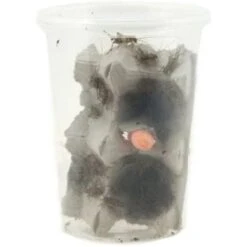 Josh's Frogs Adult Bearded Dragon Feeder Bundle -Pet Supplies Store 749030 PT3. AC SS1800 V1672163424