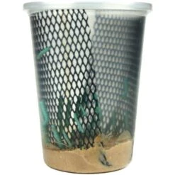 Josh's Frogs Adult Bearded Dragon Feeder Bundle -Pet Supplies Store 749030 PT7. AC SS1800 V1672170137