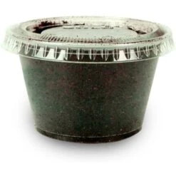 Josh's Frogs Juvenile Bearded Dragon Feeder Bundle 14 Josh's Frogs Juvenile Bearded Dragon Feeder Bundle -Pet Supplies Store 749046 PT3. AC SS1800 V1672170195