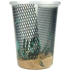 Josh's Frogs Juvenile Bearded Dragon Feeder Bundle 18 Josh's Frogs Juvenile Bearded Dragon Feeder Bundle -Pet Supplies Store 749046 PT7. AC SS1800 V1672170082