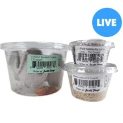 Josh's Frogs Baby Bearded Dragon Feeder Bundle