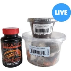 Josh's Frogs Crested Gecko Feeder Bundle