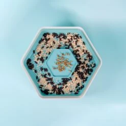 The Bug Factory Mealworm Growing Pod Reptile Feeder, White & Green -Pet Supplies Store 750414 PT8. AC SS1800 V1673952390