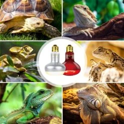 REPTI ZOO Basking Spot Lamp & Nocturnal Infrared Heat Lamp-100W Reptile Bulb, Multicolor, 4 Count -Pet Supplies Store 755390 PT6. AC SS1800 V1673984499