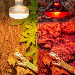 REPTI ZOO Basking Spot Lamp & Nocturnal Infrared Heat Lamp-75W Reptile Bulb, Multicolor, 4 Count -Pet Supplies Store 755406 PT5. AC SS1800 V1673991470