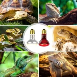 REPTI ZOO Basking Spot Lamp & Nocturnal Infrared Heat Lamp-75W Reptile Bulb, Multicolor, 4 Count -Pet Supplies Store 755406 PT7. AC SS1800 V1673984499