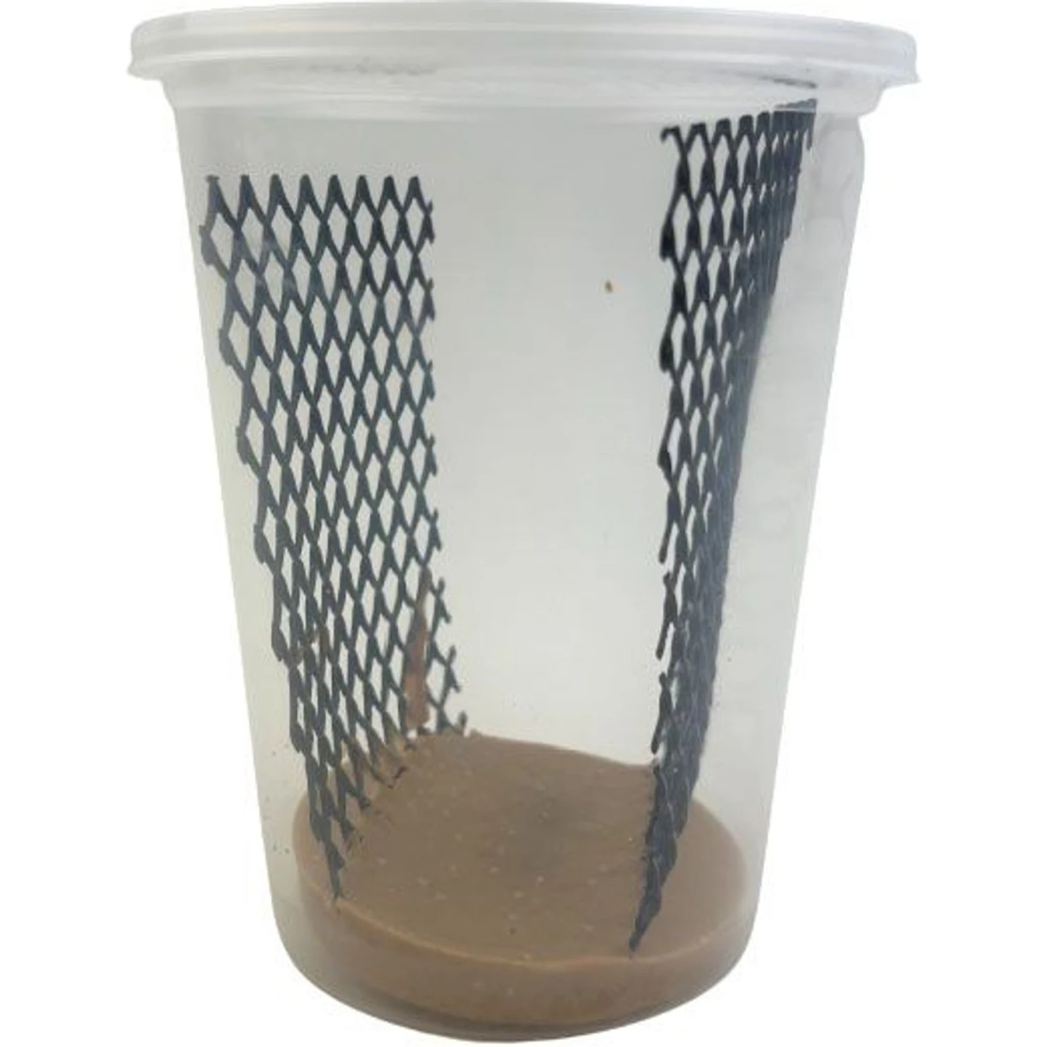 ABDragons Hornworm Dry Food 7 ABDragons Hornworm Dry Food - Image 5