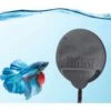 Hydor Betta Bowl Slim Fish Tank Heater -Pet Supplies Store 773430 MAIN. AC SS1800 V1676395721