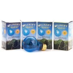 Fluker's Blue Daylight Incandescent Reptile Bulb -Pet Supplies Store 863126 PT3. AC SS1800 V1689966448
