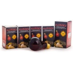 Fluker's Nighttime Red Heat Reptile Bulb -Pet Supplies Store 863310 PT5. AC SS1800 V1689794537
