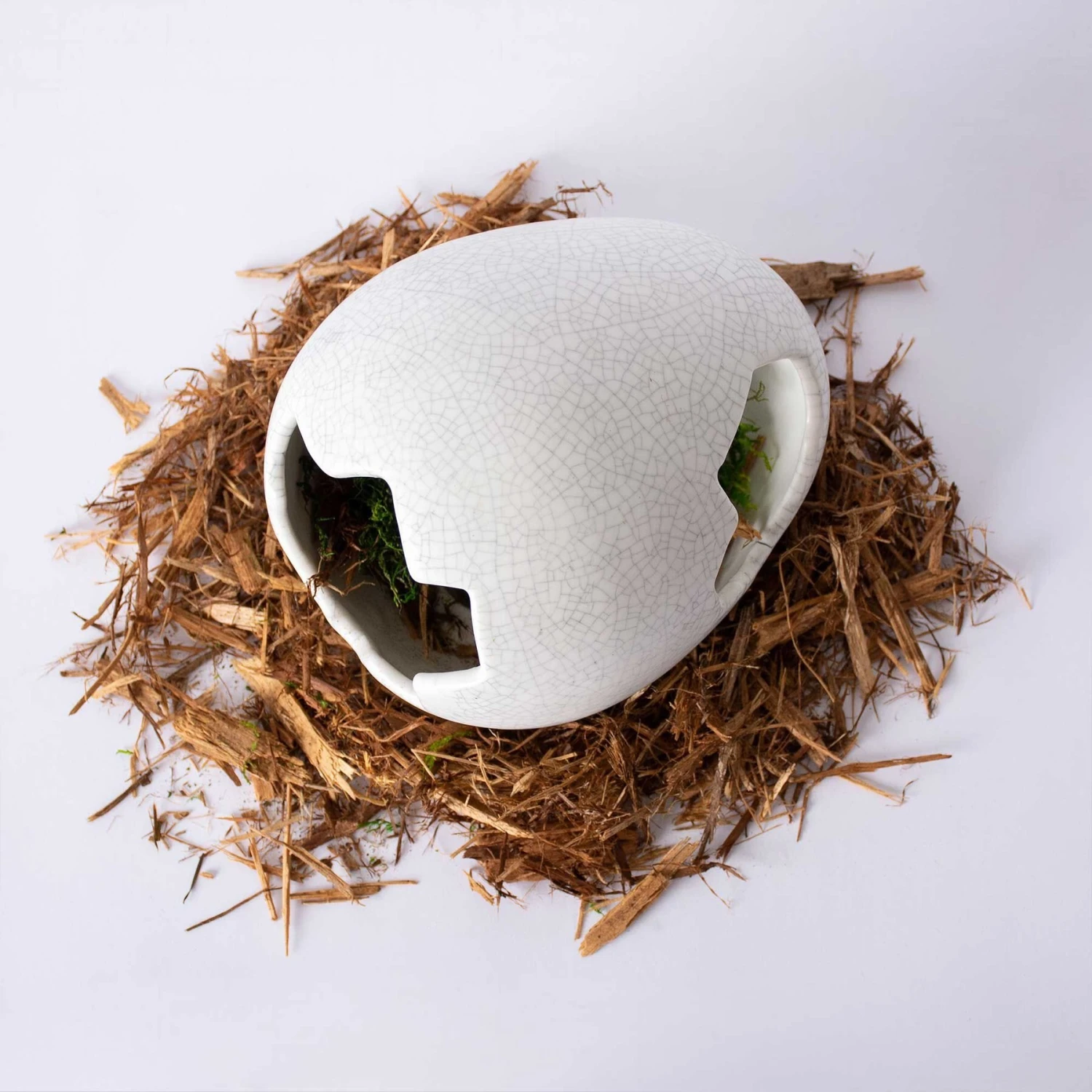 Galapagos Ceramic Egg Reptile Hideout, White, Medium, 6.3x5.12-in 6 Galapagos Ceramic Egg Reptile Hideout, White, Medium, 6.3x5.12-in - Image 4