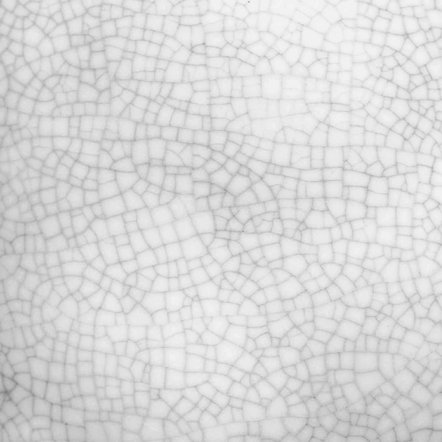 Galapagos Ceramic Egg Reptile Hideout, White, Medium, 6.3x5.12-in 8 Galapagos Ceramic Egg Reptile Hideout, White, Medium, 6.3x5.12-in - Image 6