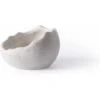 Galapagos Ceramic Egg Reptile Bowl, White 1 Galapagos Ceramic Egg Reptile Bowl, White -Pet Supplies Store 864598 MAIN. AC SS1800 V1685463060