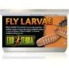 Exo Terra Canned Black Soldier Fly Larvae Reptile Food, 1.2-oz Bag