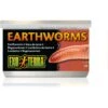 Exo Terra Canned Earthworms Reptile Food, 1.2-oz Bag -Pet Supplies Store 891926 MAIN. AC SS1800 V1688745169