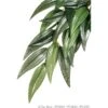 Exo Terra Silk Terrarium Reptile Plant, Ruscus 2 Exo Terra Silk Terrarium Reptile Plant, Ruscus -Pet Supplies Store 892374 MAIN. AC SS1800 V1688745142