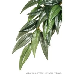Exo Terra Silk Terrarium Reptile Plant, Ruscus
