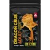 Exo Terra Dragon Food Grub For Adult Bearded Dragons 1 Exo Terra Dragon Food Grub For Adult Bearded Dragons -Pet Supplies Store 892566 MAIN. AC SS1800 V1688745235