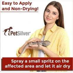 PetSilver Wound Spray For Reptiles, 2-oz Bottle -Pet Supplies Store 916894 PT2. AC SS1800 V1689971325