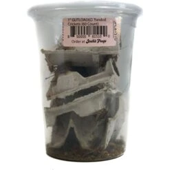 Josh's Frogs Gutloaded Banded Crickets Live Feed Reptile Food, 1-in, 60 Count -Pet Supplies Store 927838 PT2. AC SS1800 V1692294858