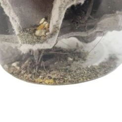 Josh's Frogs Gutloaded Banded Crickets Live Feed Reptile Food, 1-in, 60 Count -Pet Supplies Store 927838 PT6. AC SS1800 V1692304281