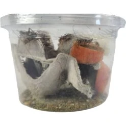 Josh's Frogs Gutloaded Banded Crickets Live Feed Reptile Food, 1/2-in, 72 Count -Pet Supplies Store 927982 PT2. AC SS1800 V1692301763