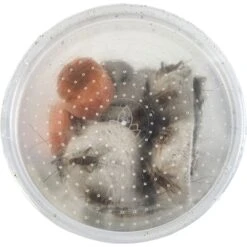 Josh's Frogs Gutloaded Banded Crickets Live Feed Reptile Food, 1/2-in, 72 Count -Pet Supplies Store 927982 PT3. AC SS1800 V1692300286