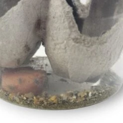 Josh's Frogs Gutloaded Banded Crickets Live Feed Reptile Food, 1/4-in, 120 Count 13 Josh's Frogs Gutloaded Banded Crickets Live Feed Reptile Food, 1/4-in, 120 Count -Pet Supplies Store 928062 PT2. AC SS1800 V1692298808