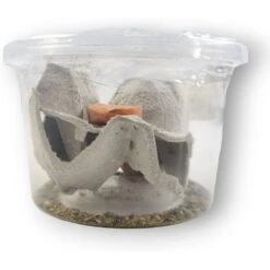 Josh's Frogs Gutloaded Banded Crickets Live Feed Reptile Food, 1/4-in, 120 Count 15 Josh's Frogs Gutloaded Banded Crickets Live Feed Reptile Food, 1/4-in, 120 Count -Pet Supplies Store 928062 PT4. AC SS1800 V1692301425