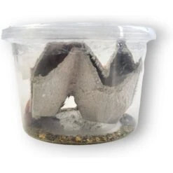 Josh's Frogs Gutloaded Banded Crickets Live Feed Reptile Food, 1/4-in, 120 Count 16 Josh's Frogs Gutloaded Banded Crickets Live Feed Reptile Food, 1/4-in, 120 Count -Pet Supplies Store 928062 PT5. AC SS1800 V1692300997