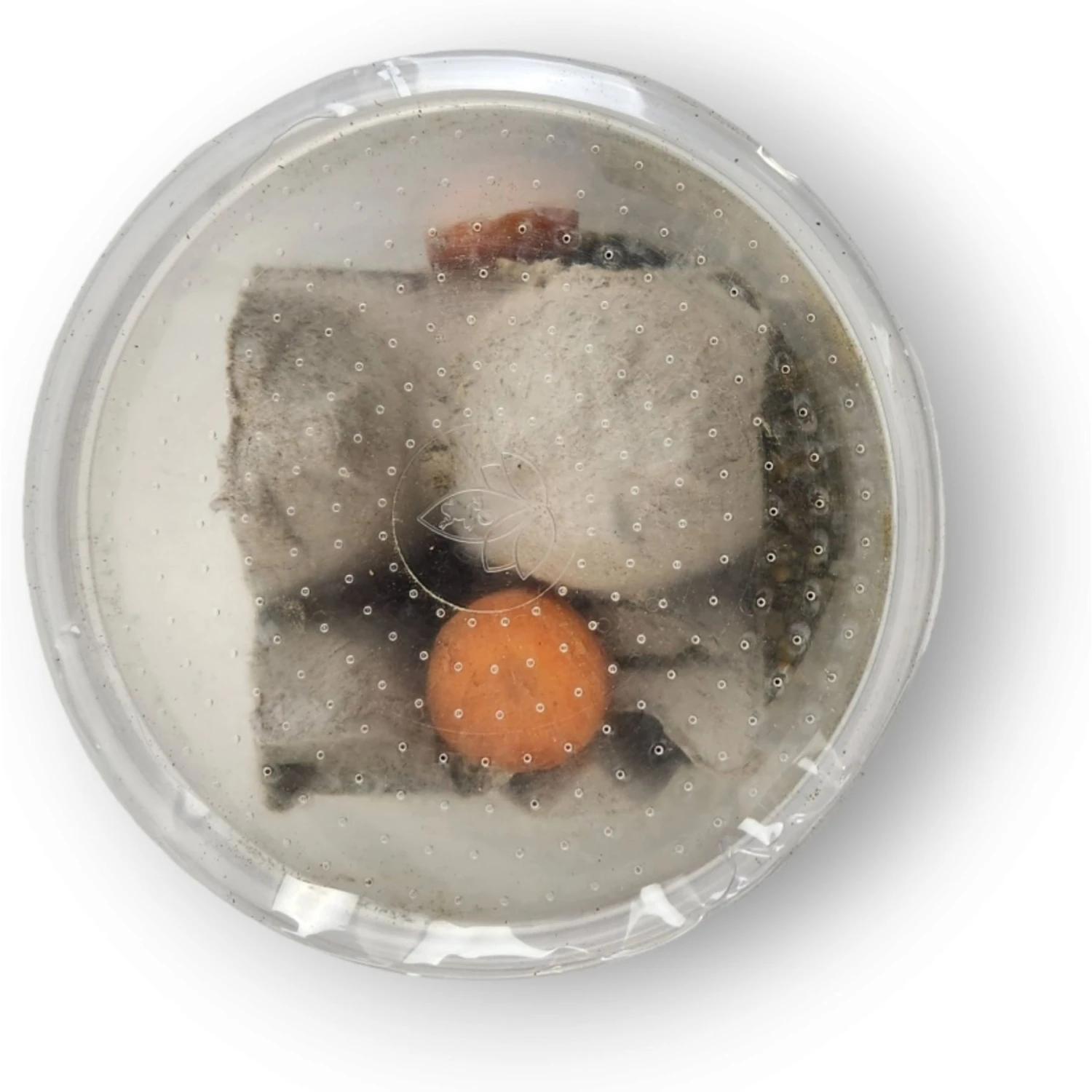 Josh's Frogs Gutloaded Banded Crickets Live Feed Reptile Food, 1/4-in, 120 Count 9 Josh's Frogs Gutloaded Banded Crickets Live Feed Reptile Food, 1/4-in, 120 Count - Image 7