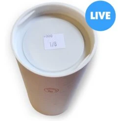 Josh's Frogs Banded Crickets Live Feed Reptile Food, 1/8-in