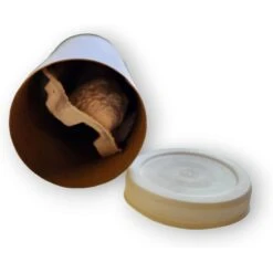 Josh's Frogs Banded Crickets Live Feed Reptile Food, 1/8-in -Pet Supplies Store 928078 PT3. AC SS1800 V1692300968