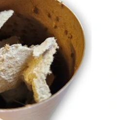 Josh's Frogs Banded Crickets Live Feed Reptile Food, 1/8-in -Pet Supplies Store 928078 PT4. AC SS1800 V1692296346