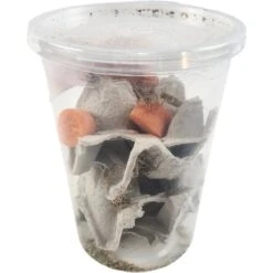 Josh's Frogs Gutloaded Banded Crickets Live Feed Reptile Food, 3/4-in, 60 Count -Pet Supplies Store 928174 PT4. AC SS1800 V1692299399