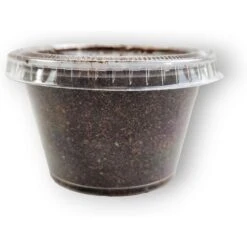 Josh's Frogs Black Soldier Fly Larvae Live Feed Reptile Food -Pet Supplies Store 928286 PT2. AC SS1800 V1692304281