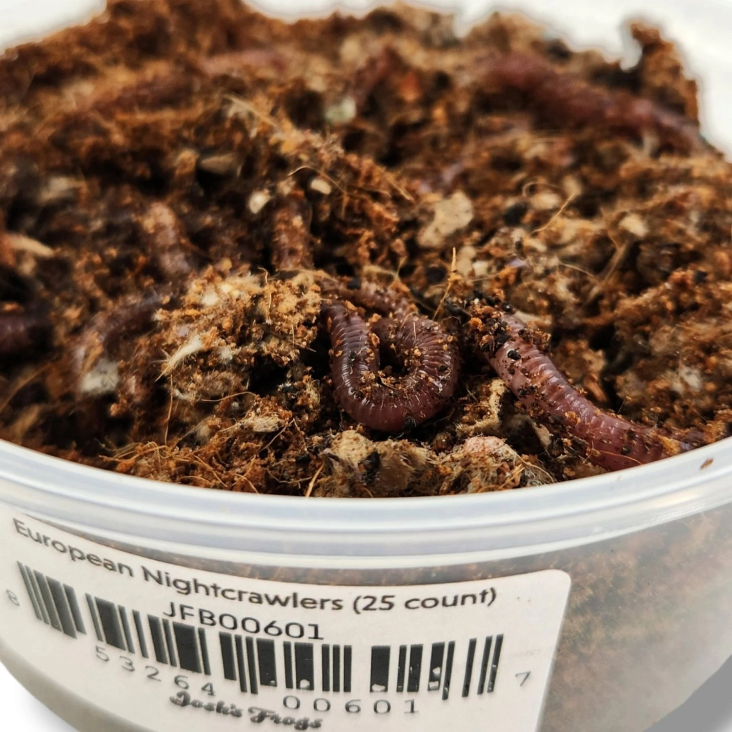 Josh's Frogs European Nightcrawlers Live Feed Reptile Food, 25 Count 5 Josh's Frogs European Nightcrawlers Live Feed Reptile Food, 25 Count - Image 3