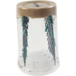 Josh's Frogs Hornworm Habitat Live Feed Reptile Food -Pet Supplies Store 928550 PT4. AC SS1800 V1692296312