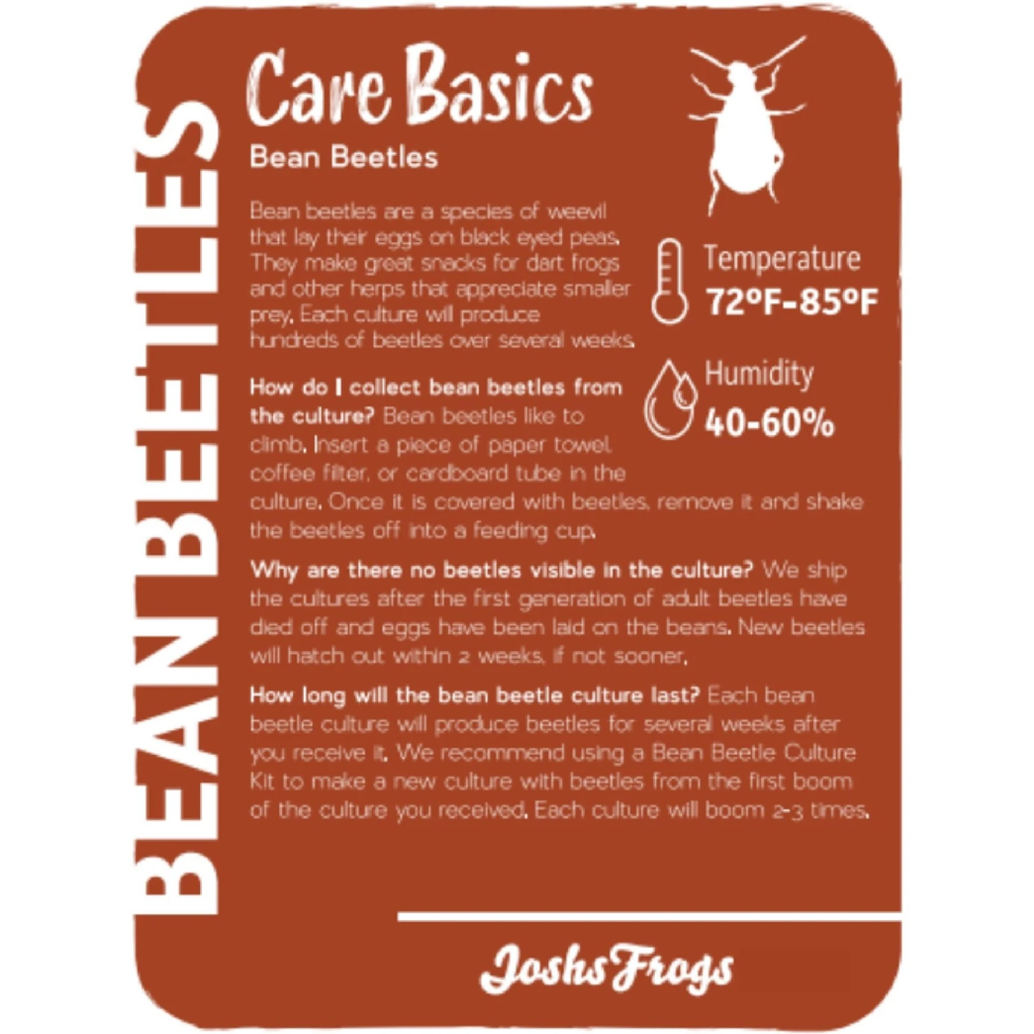 Josh's Frogs Bean Beetle Culture Live Feed Reptile Food, 16-oz Tub 4 Josh's Frogs Bean Beetle Culture Live Feed Reptile Food, 16-oz Tub - Image 2