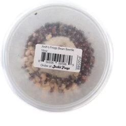 Josh's Frogs Bean Beetle Culture Live Feed Reptile Food, 16-oz Tub 13 Josh's Frogs Bean Beetle Culture Live Feed Reptile Food, 16-oz Tub -Pet Supplies Store 928598 PT2. AC SS1800 V1692300256