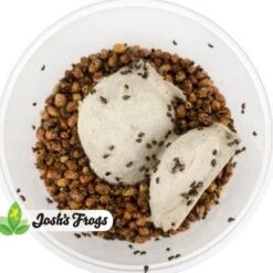 Josh's Frogs Bean Beetle Culture Live Feed Reptile Food, 16-oz Tub 14 Josh's Frogs Bean Beetle Culture Live Feed Reptile Food, 16-oz Tub -Pet Supplies Store 928598 PT3. AC SS1800 V1692301028