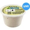 Josh's Frogs Rice Flour Beetle Culture Live Feed Reptile Food, 16-oz Tub -Pet Supplies Store 928614 MAIN. AC SS1800 V1692710753