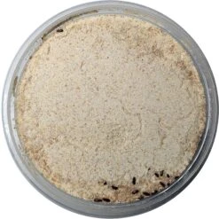 Josh's Frogs Rice Flour Beetle Culture Live Feed Reptile Food, 16-oz Tub -Pet Supplies Store 928614 PT2. AC SS1800 V1692299425