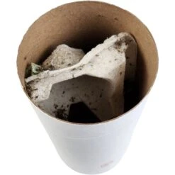 Josh's Frogs Pinhead Banded Crickets Live Feed Reptile Food -Pet Supplies Store 928694 PT5. AC SS1800 V1692298899