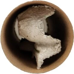 Josh's Frogs Pinhead Banded Crickets Live Feed Reptile Food -Pet Supplies Store 928694 PT6. AC SS1800 V1692296406