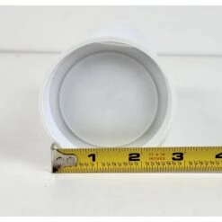 Josh's Frogs Pinhead Banded Crickets Live Feed Reptile Food -Pet Supplies Store 928694 PT8. AC SS1800 V1692301851