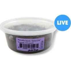 Josh's Frogs Porcellio Laevis 'Dairy Cow' Isopods Live Feed Reptile Food, 10 Count
