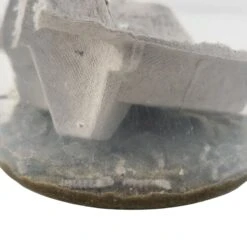 Josh's Frogs Silkworms Live Feed Reptile Food, Small, 25 Count 13 Josh's Frogs Silkworms Live Feed Reptile Food, Small, 25 Count -Pet Supplies Store 928862 PT2. AC SS1800 V1692296405