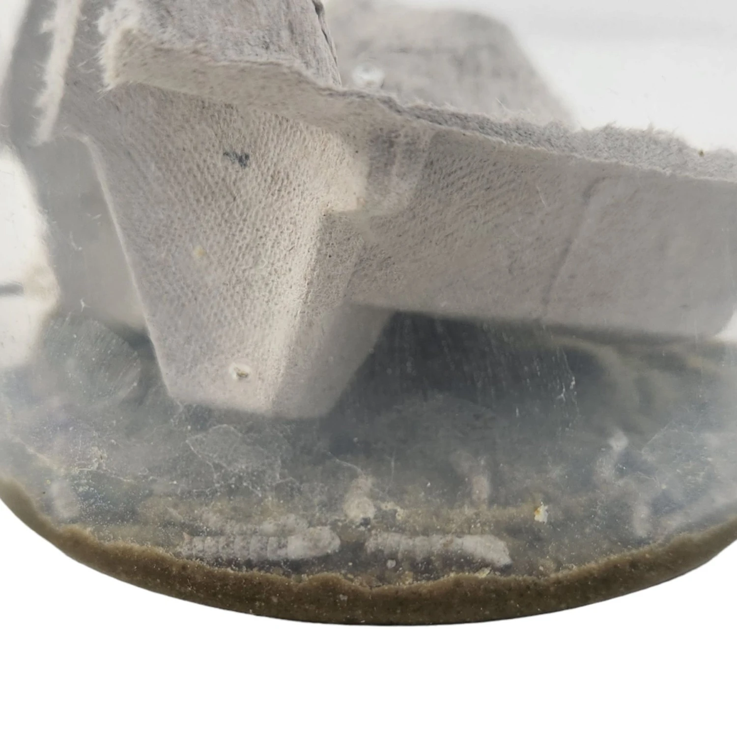 Josh's Frogs Silkworms Live Feed Reptile Food, Small, 25 Count 5 Josh's Frogs Silkworms Live Feed Reptile Food, Small, 25 Count - Image 3